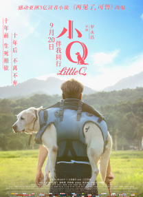 天天综合中文字幕